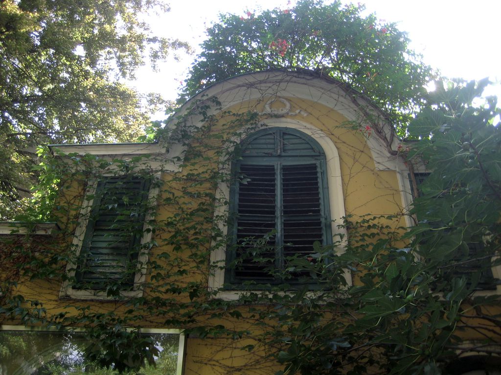Datei:Glacisstraße 63, Eschenlaube 2.jpg